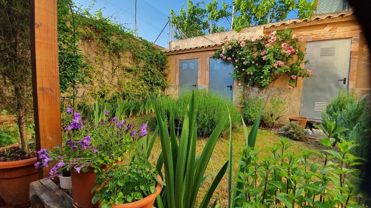 Photo of Outdoor in Villalba de la Sierra