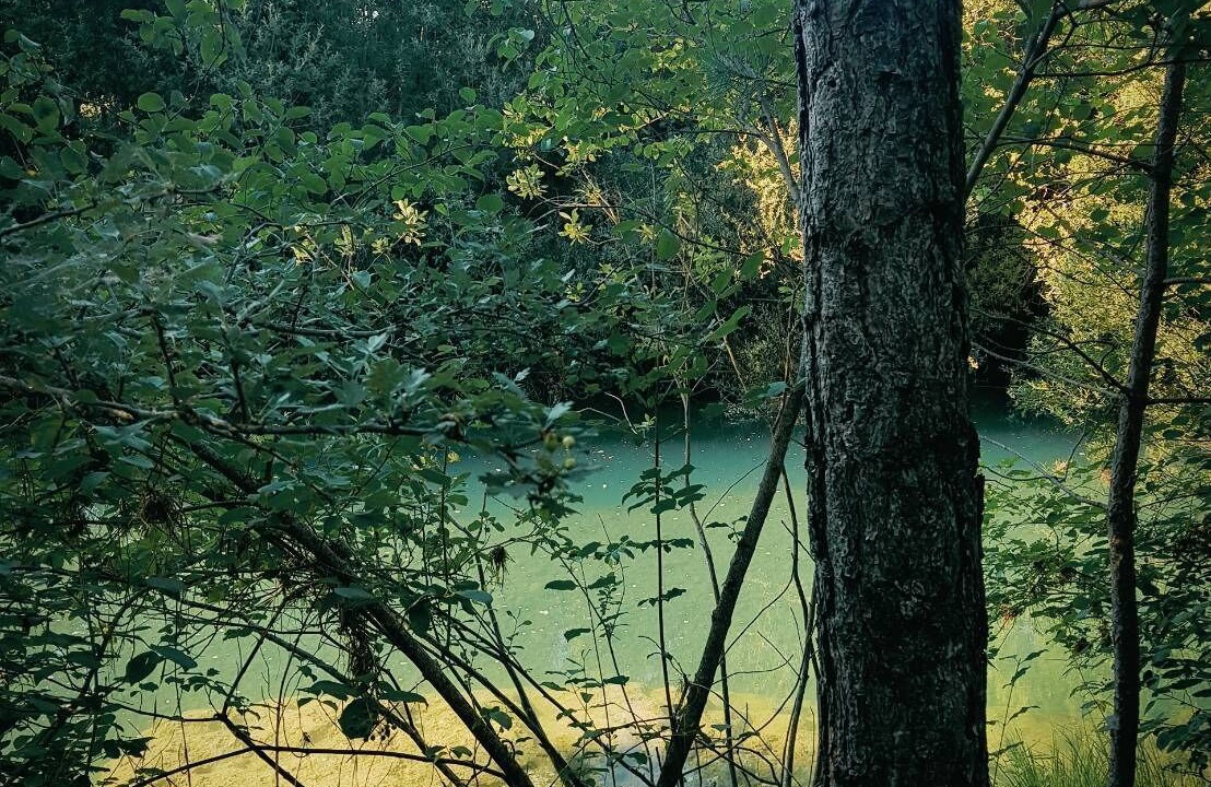 Photo of Outdoor in Villalba de la Sierra