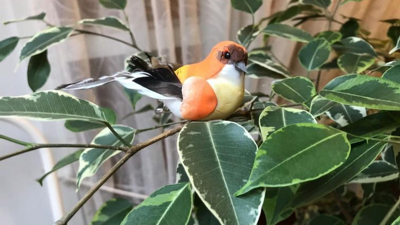 Photo of Others in St Brides