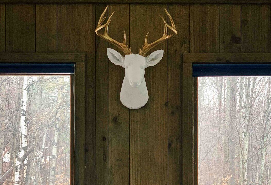 Photo of Others in Winhall