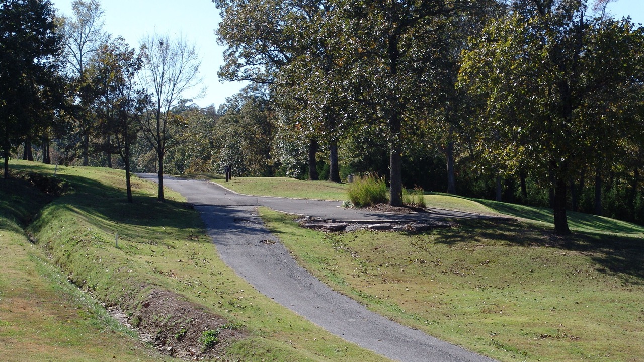 Photo of Others in Branson West