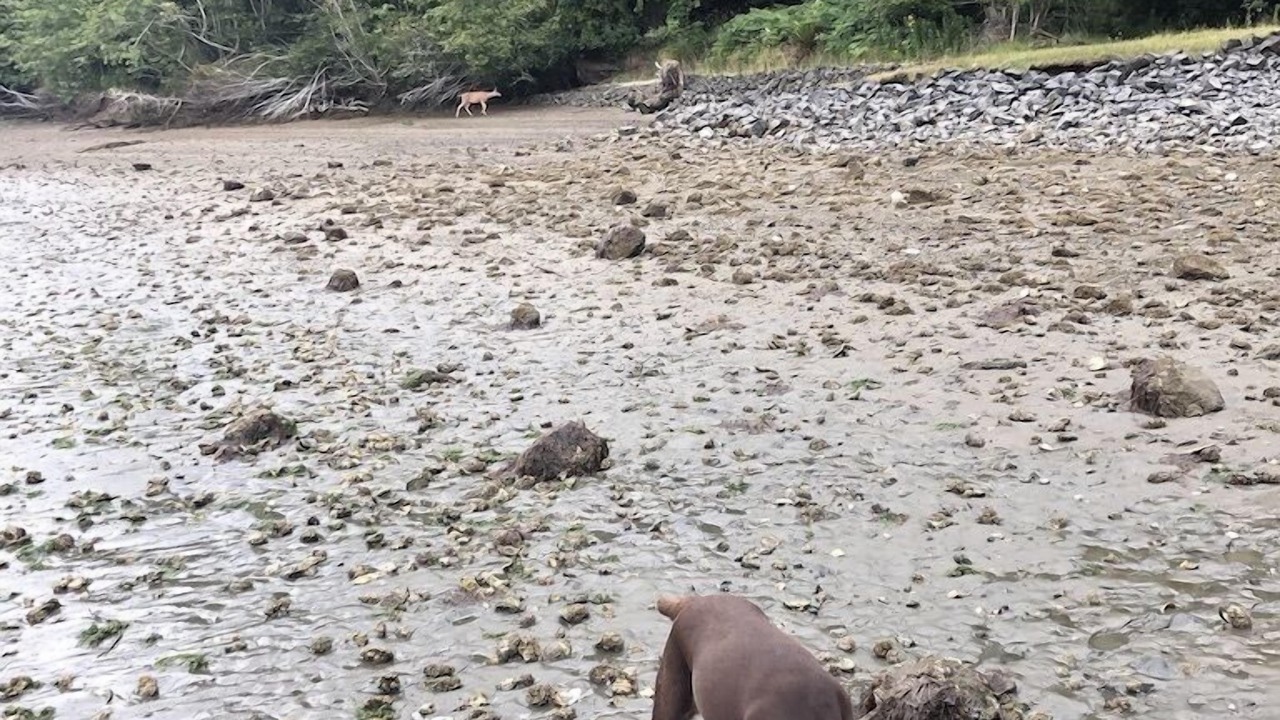 Photo of Others in Shelton