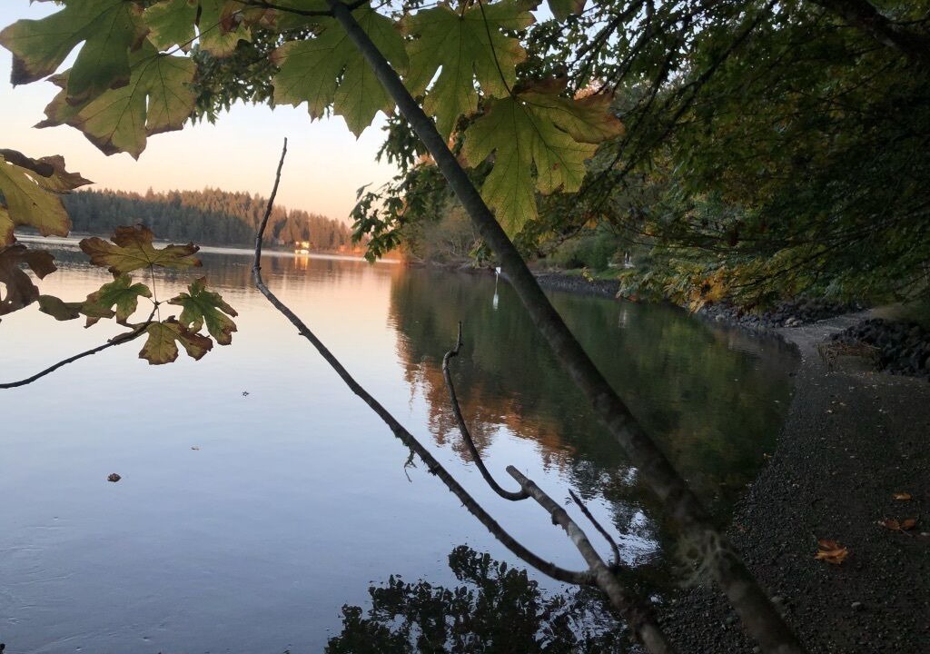 Photo of Others in Shelton