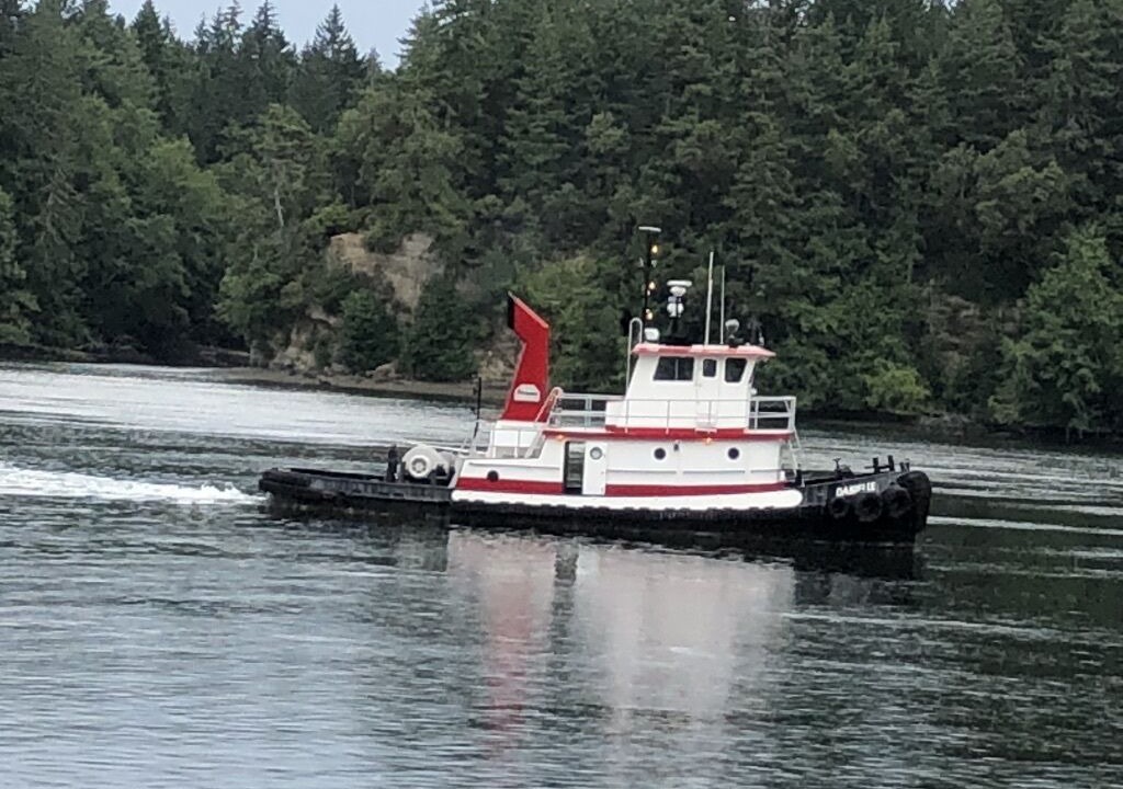 Photo of Others in Shelton