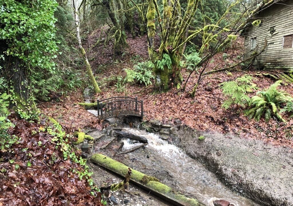 Photo of Others in Shelton