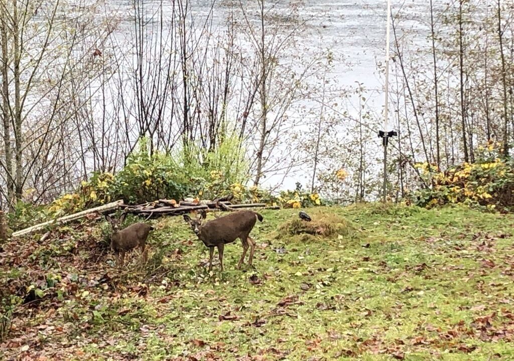 Photo of Bedroom in Shelton
