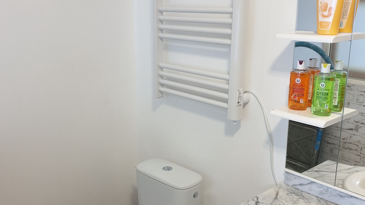 Photo of Bathroom in Muides-sur-Loire