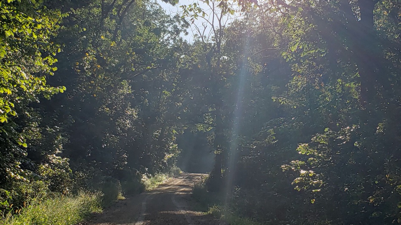 Photo of Outdoor in Cashton