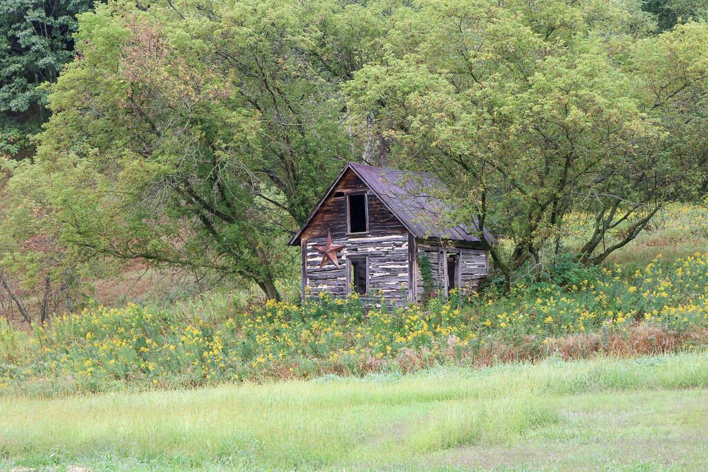 Photo of Outdoor in Cashton