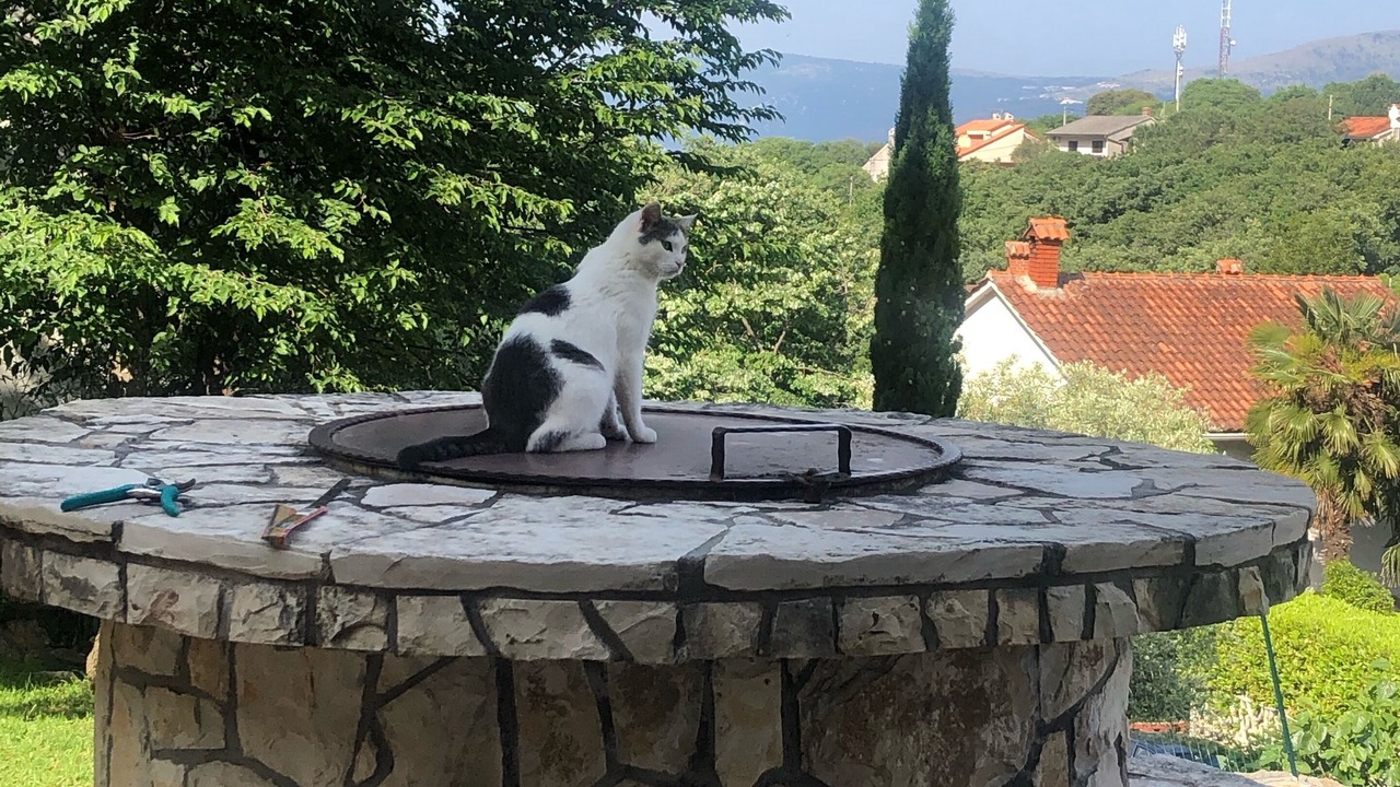 Photo of Outdoor in Porozina