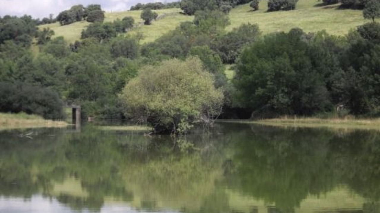 Photo of Others in Guadalix de la Sierra