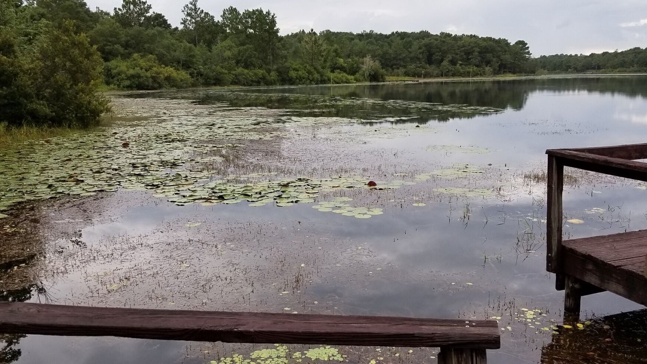 Photo of Outdoor in De Funiak Springs