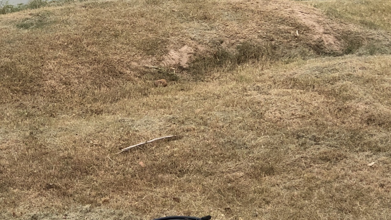 Photo of Others in Smithville