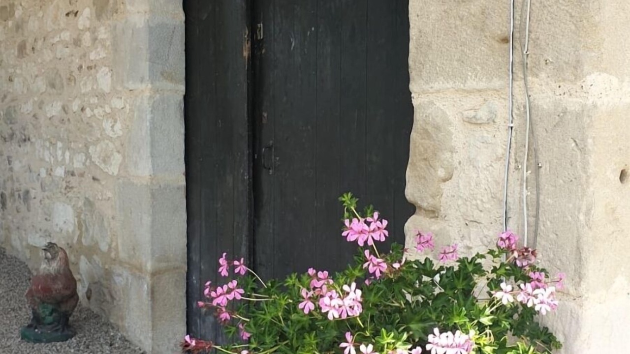 Photo of Outdoor in La Sauvetat-sur-Lede