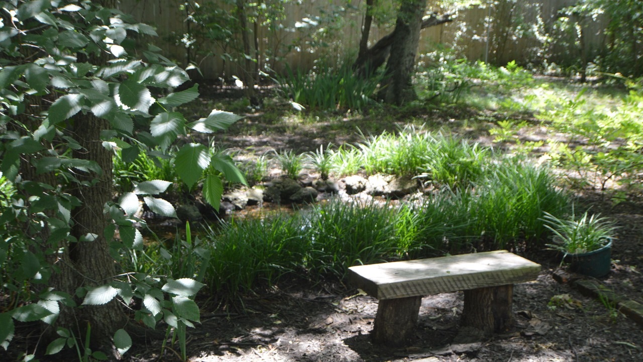 Photo of Outdoor in Bonham
