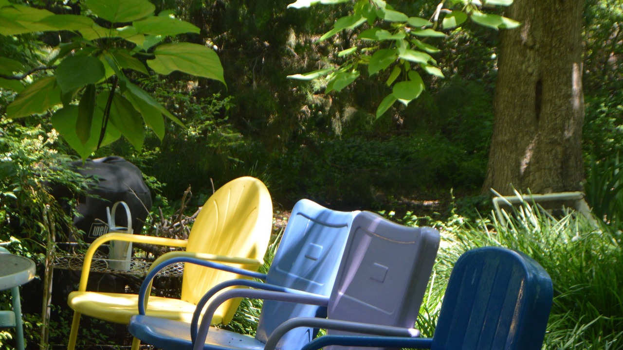 Photo of Outdoor in Bonham