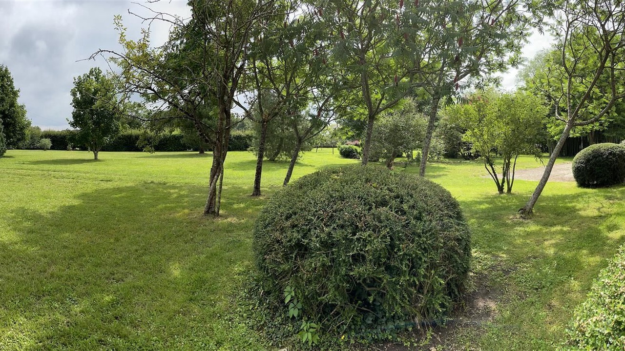 Photo of Outdoor in La Celle-Saint-Avant