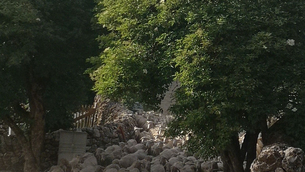 Photo of Outdoor in La Tieule