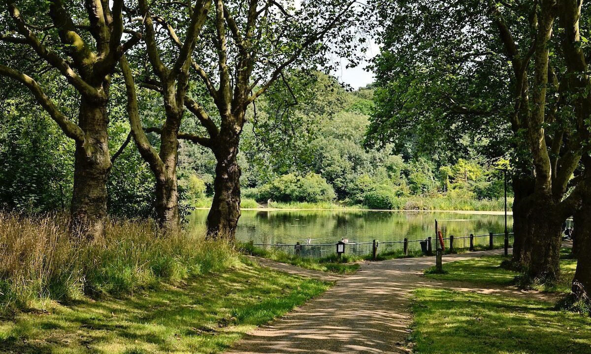 Photo of Outdoor in Frognal and Fitzjohns