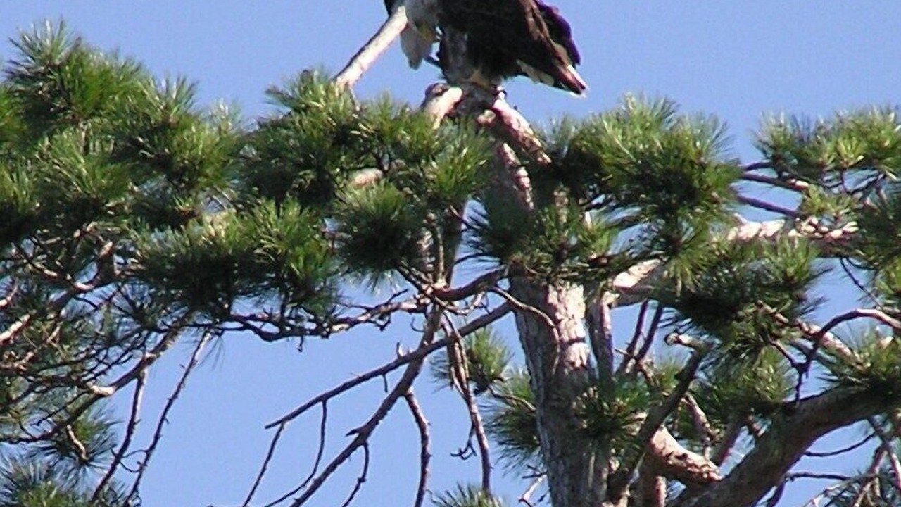 Photo of Outdoor in Minocqua
