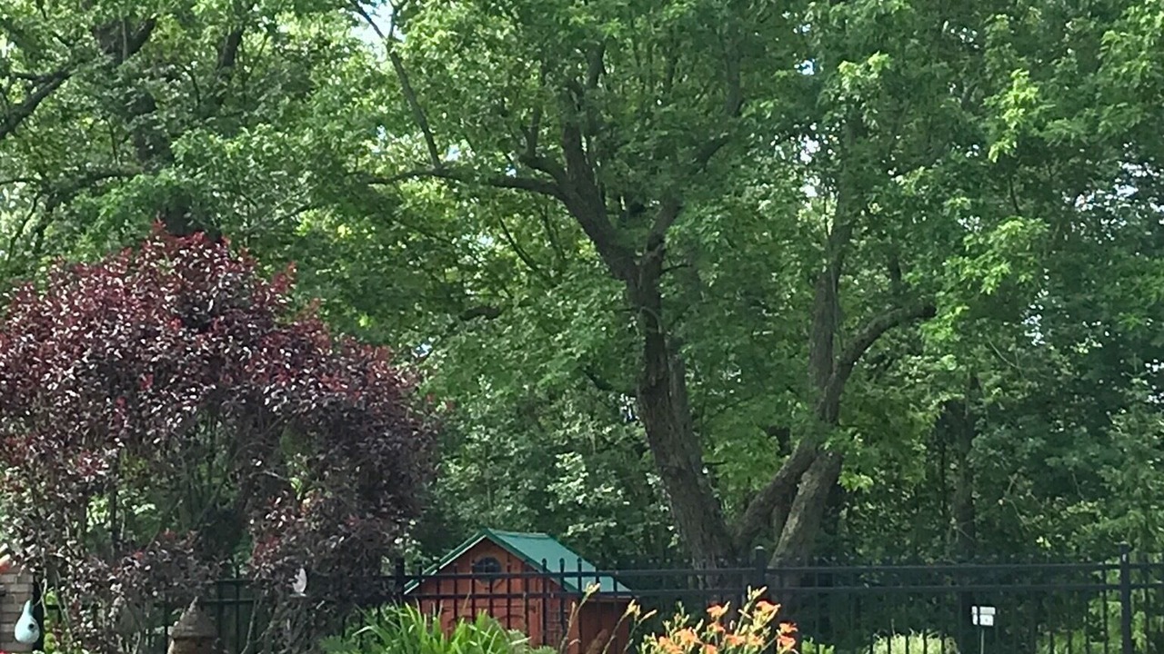 Photo of Outdoor in Crittenden