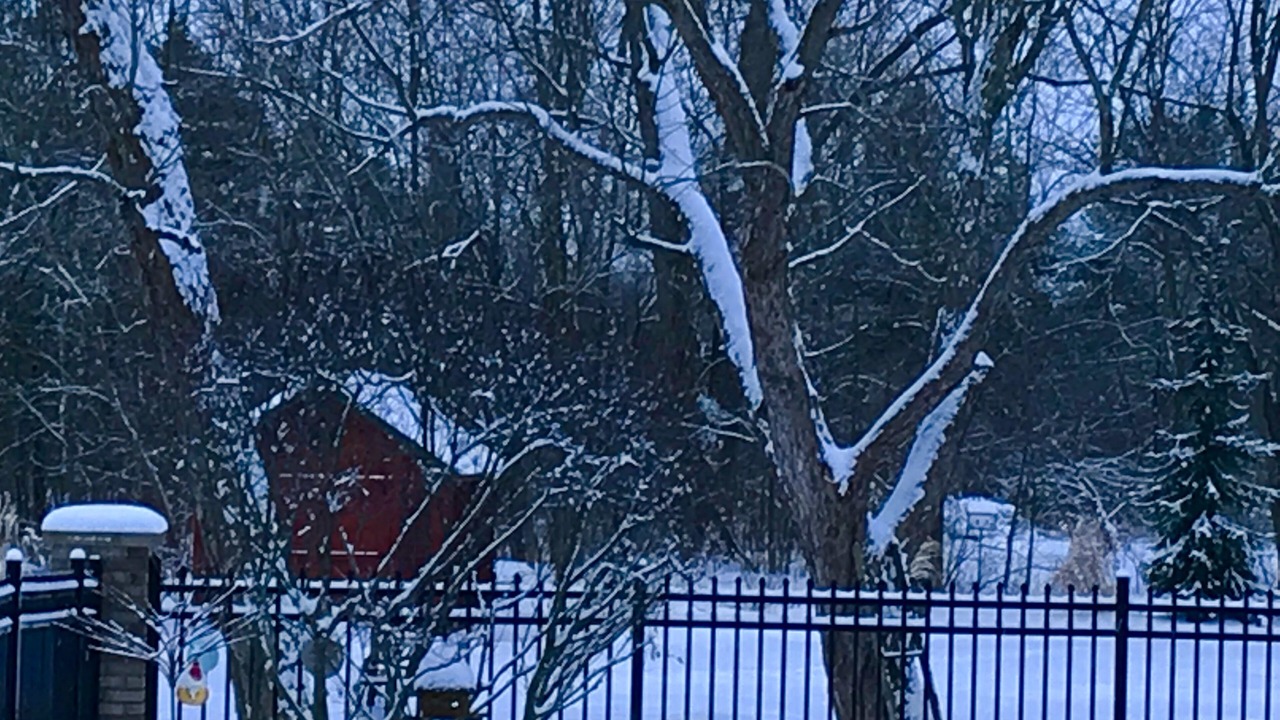 Photo of Outdoor in Crittenden