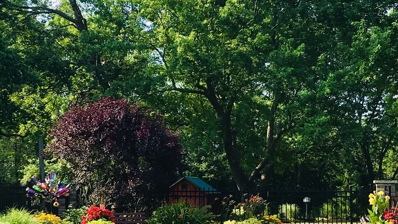 Photo of Outdoor in Crittenden