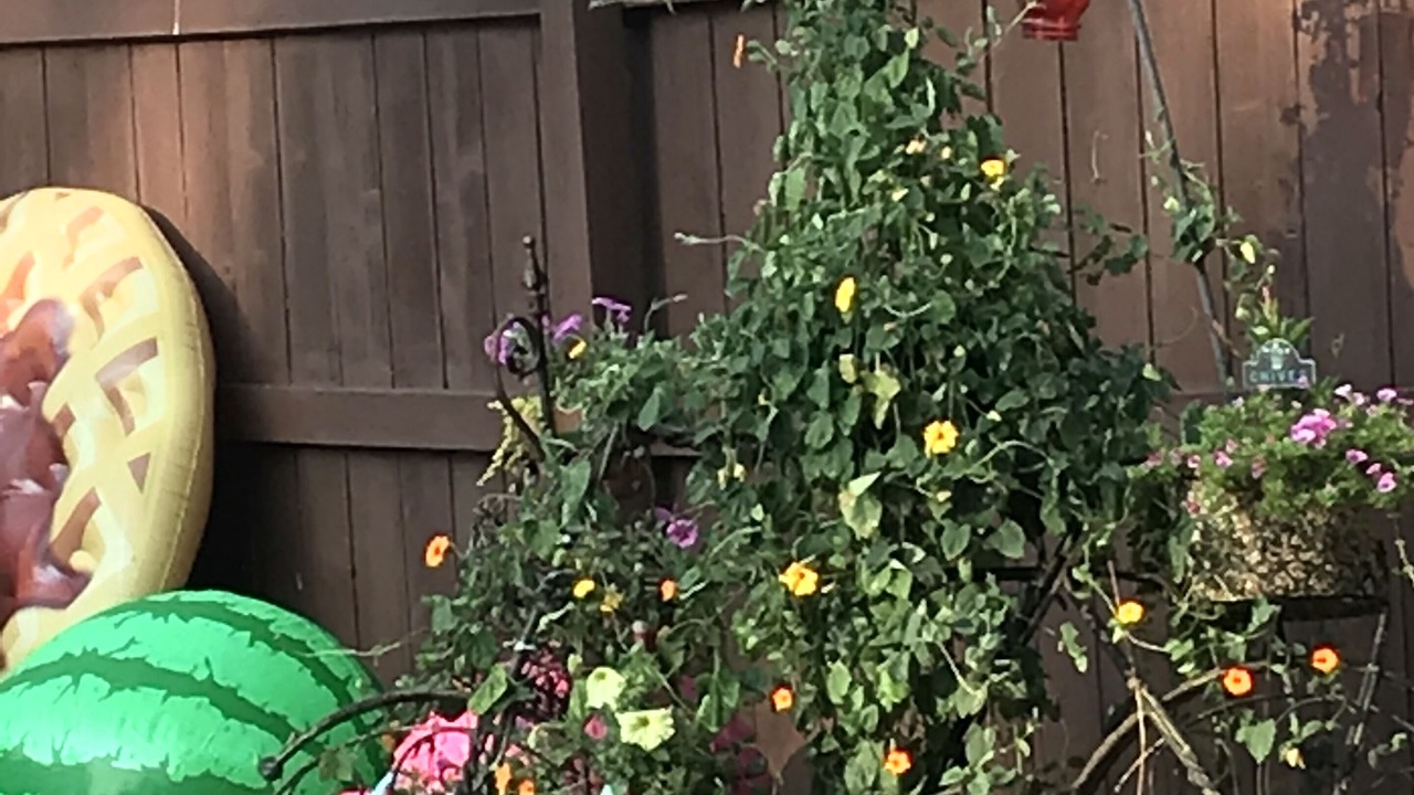 Photo of Outdoor in Crittenden