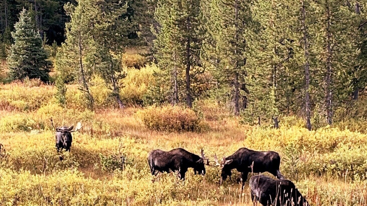 Photo of Outdoor in Laramie