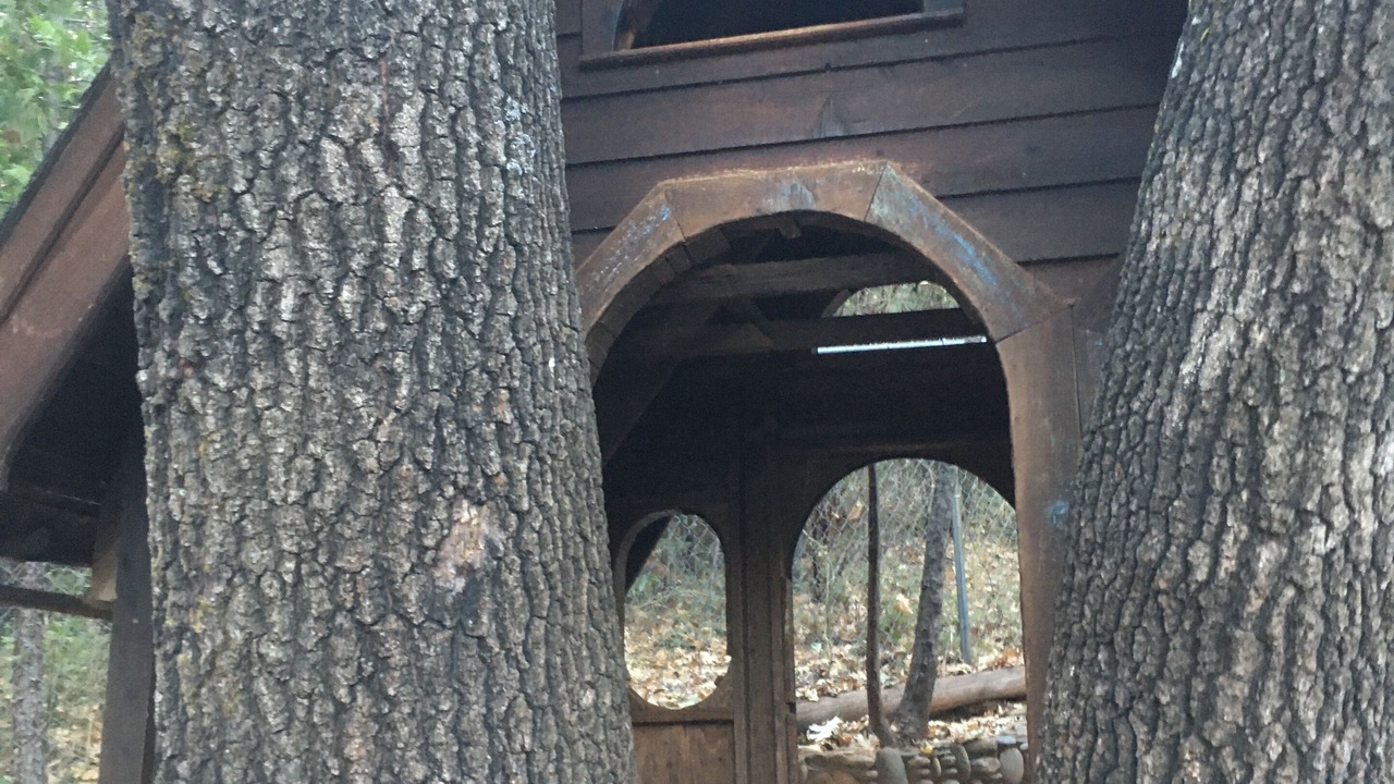 Photo of Others in Foresthill