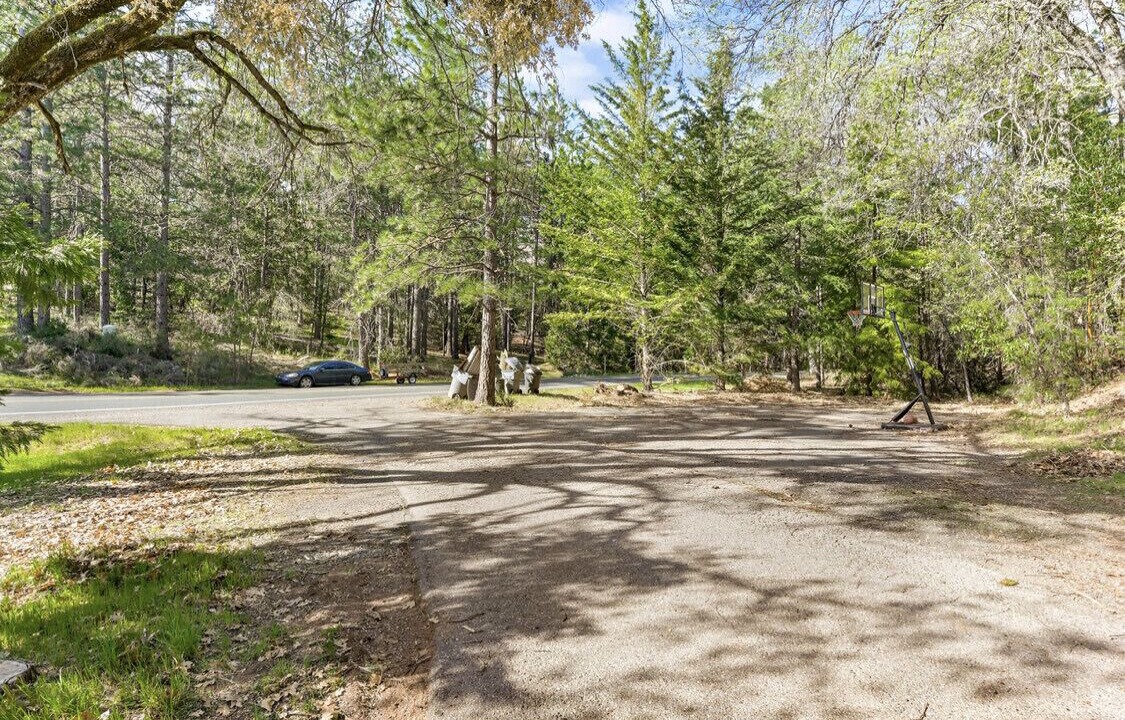 Photo of Others in Foresthill