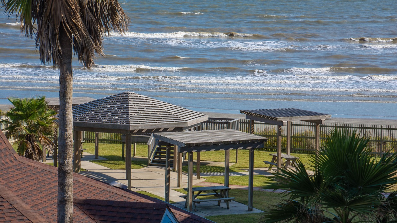 Photo of Others in Galveston