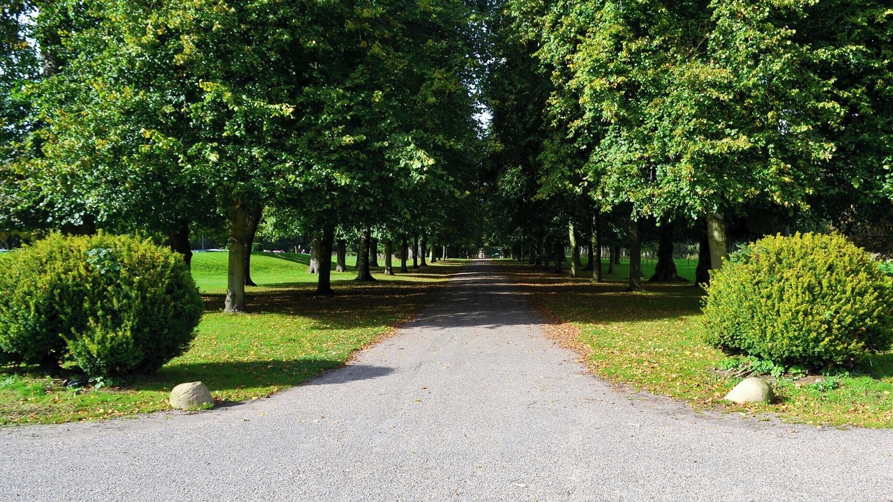 Photo of Outdoor in Edwinstowe