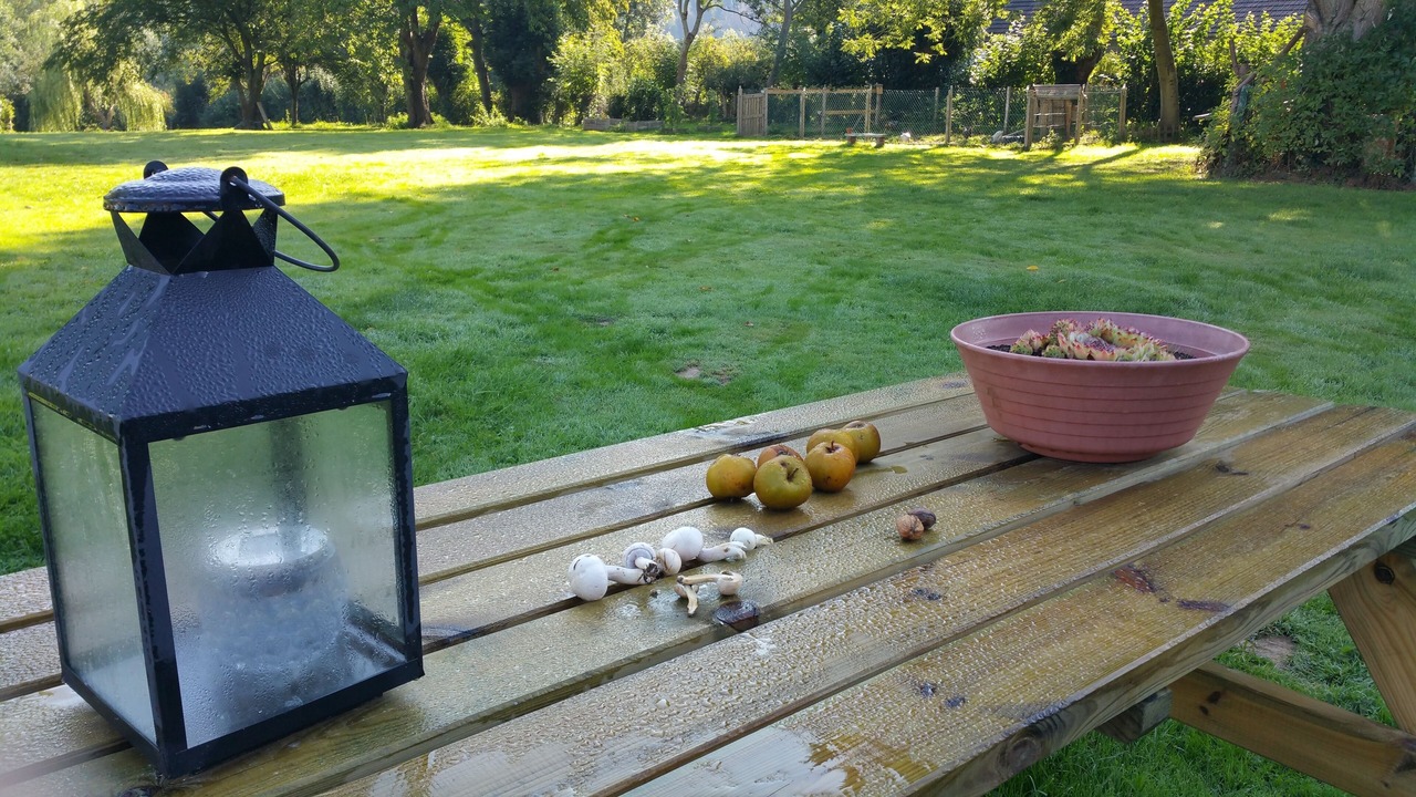Photo of Outdoor in Fontenay-Torcy