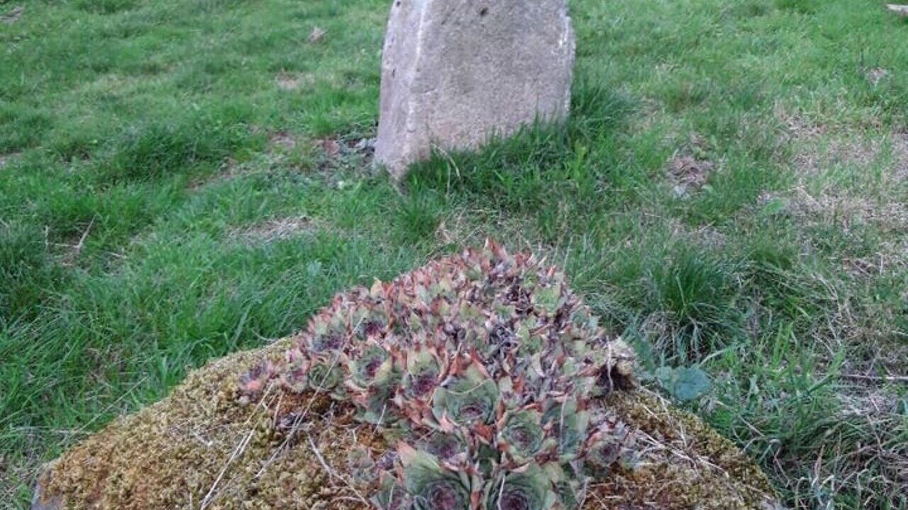 Photo of Outdoor in Fontenay-Torcy