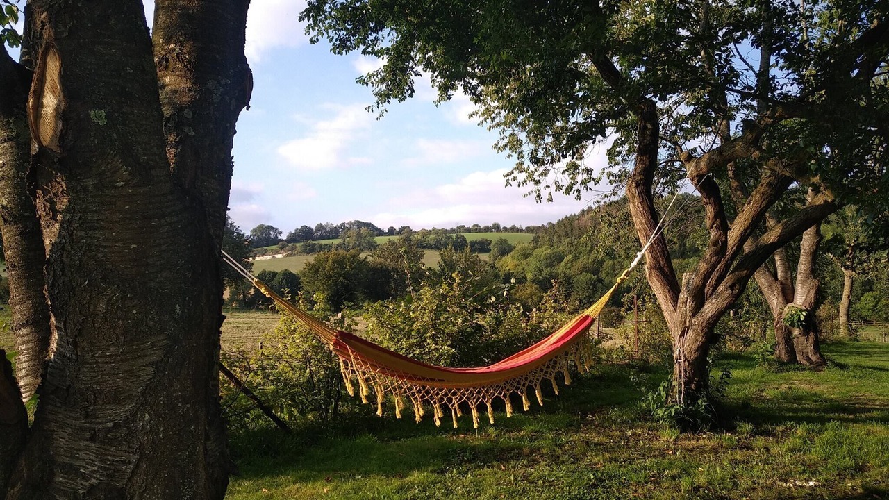 Photo of Outdoor in Fontenay-Torcy