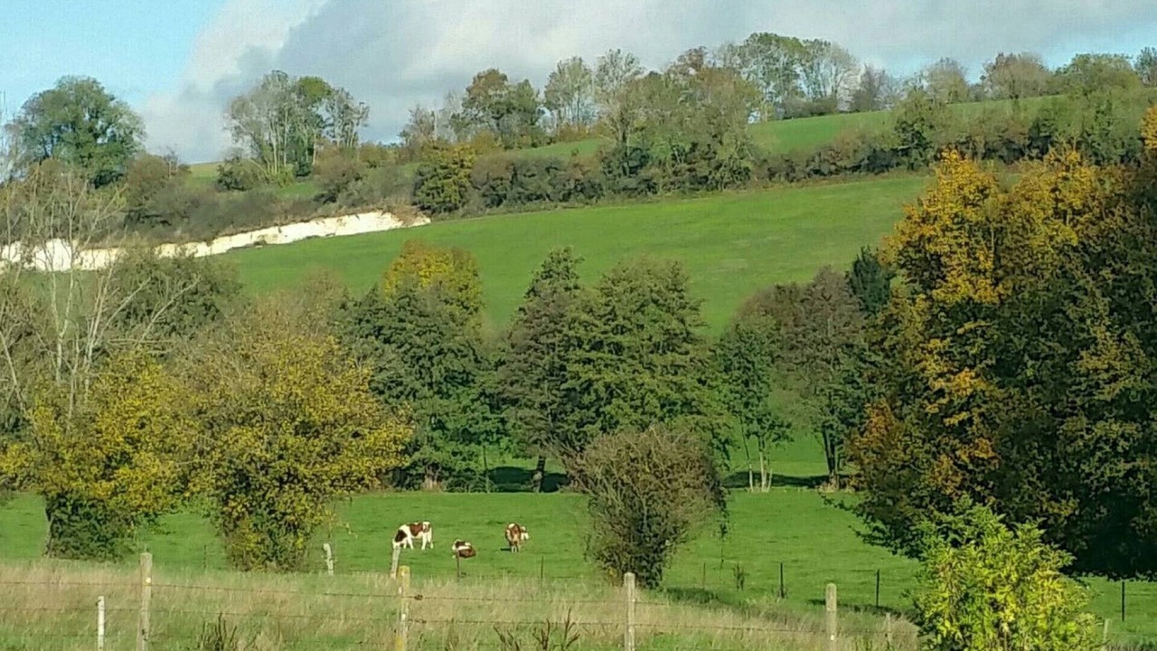 Photo of Others in Fontenay-Torcy