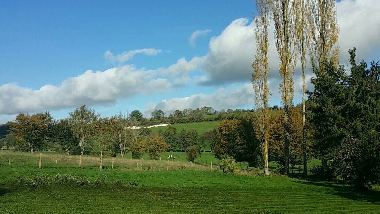 Photo of Outdoor in Fontenay-Torcy