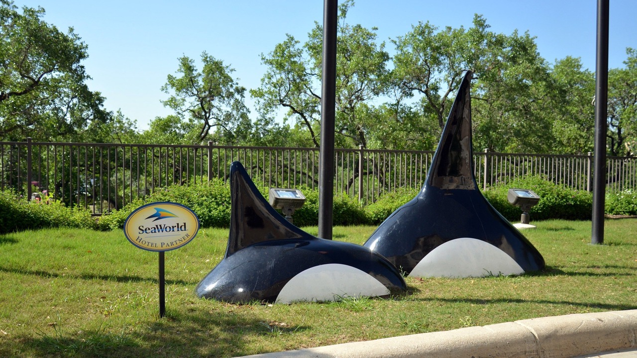 Photo of Others in West San Antonio