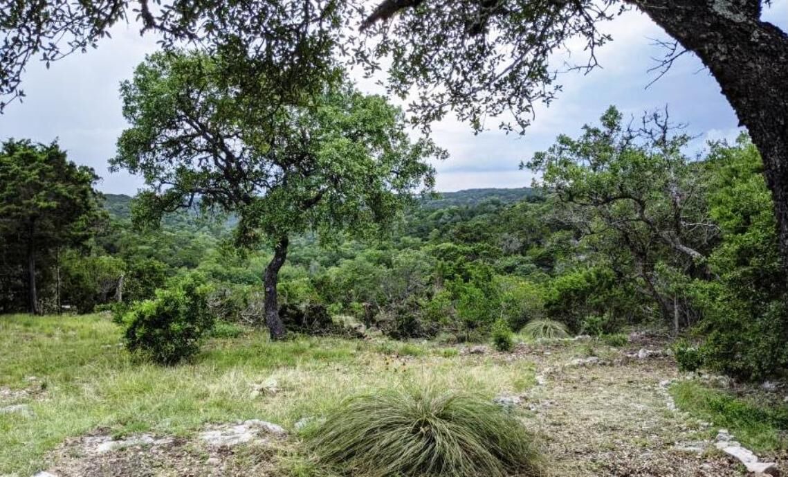 Photo of Outdoor in Pipe Creek