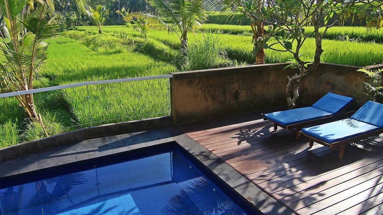 Photo of Outdoor in Pejeng Kawan