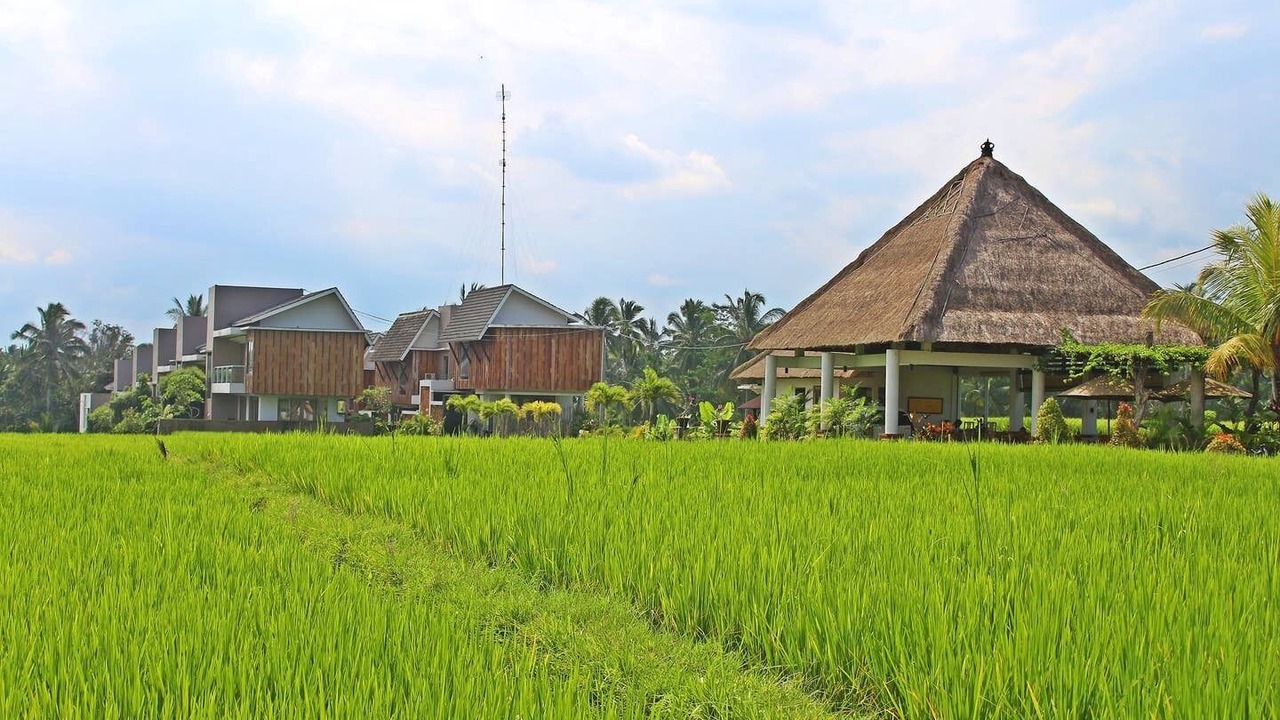 Photo of Outdoor in Pejeng Kawan