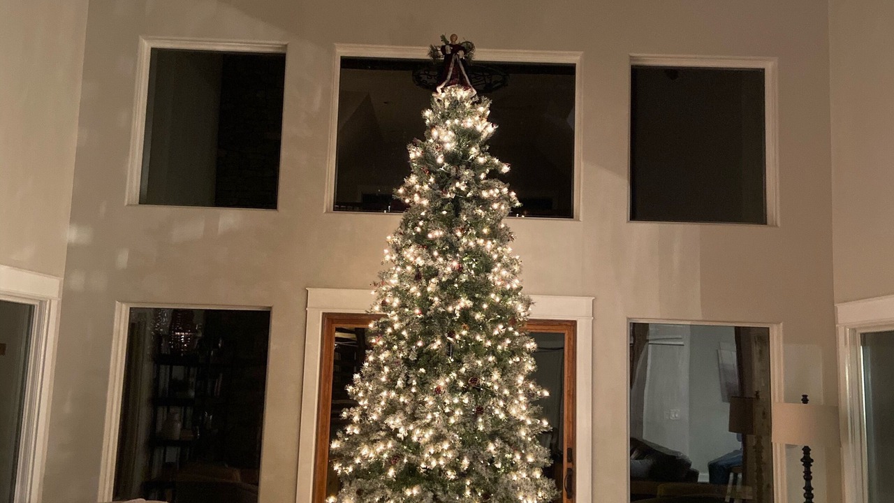 Photo of Others in Mineral Bluff