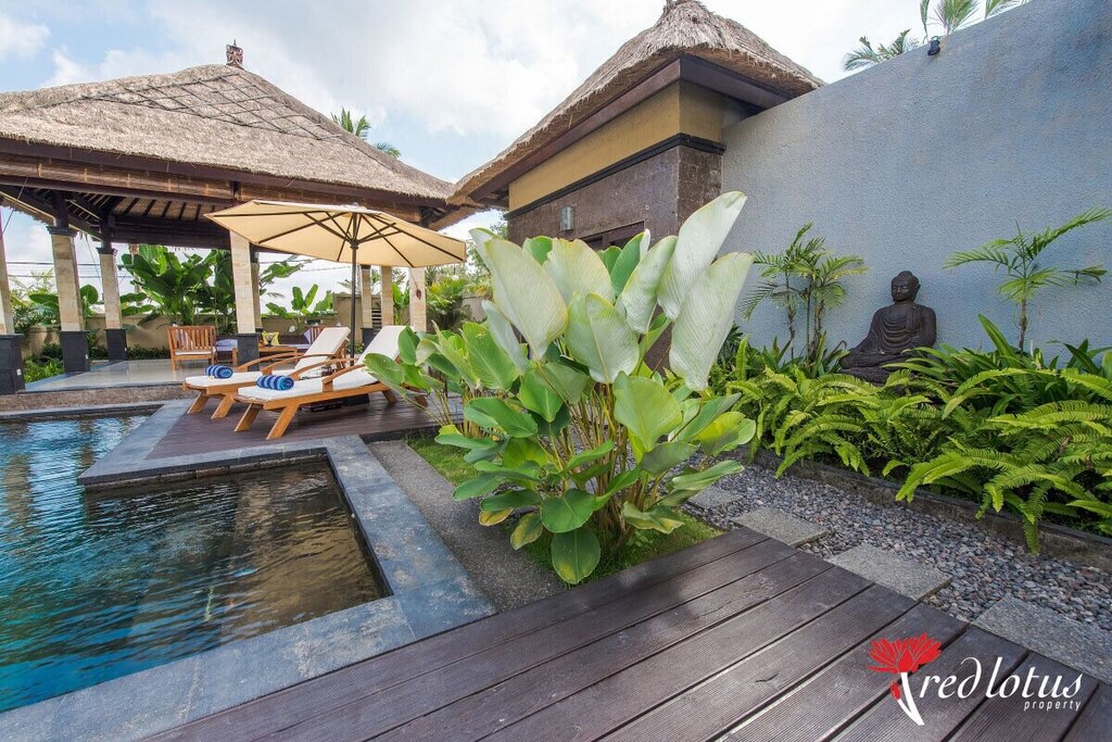 Photo of Others in Taro