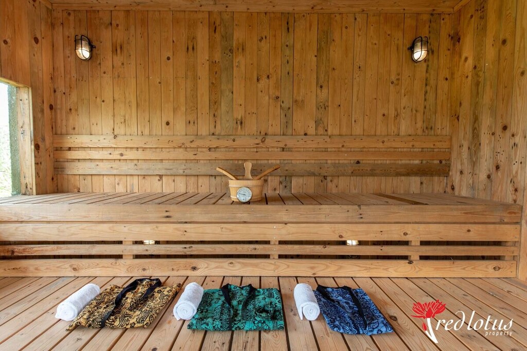 Photo of Others in Taro