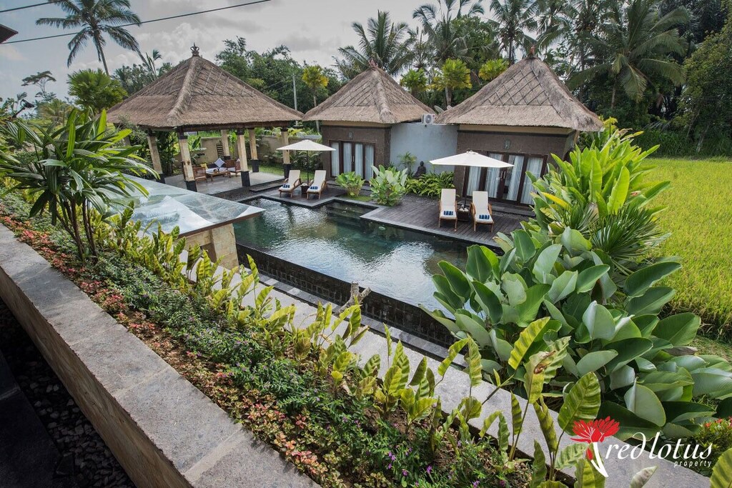 Photo of Others in Taro