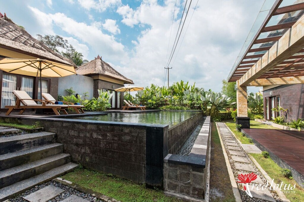 Photo of Others in Taro