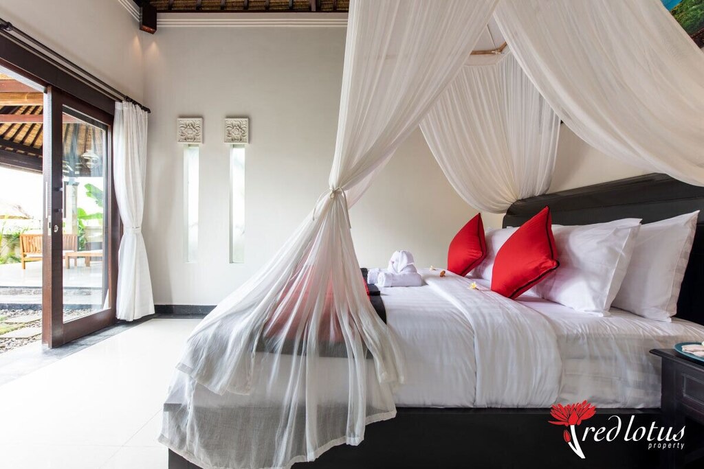 Photo of Others in Taro