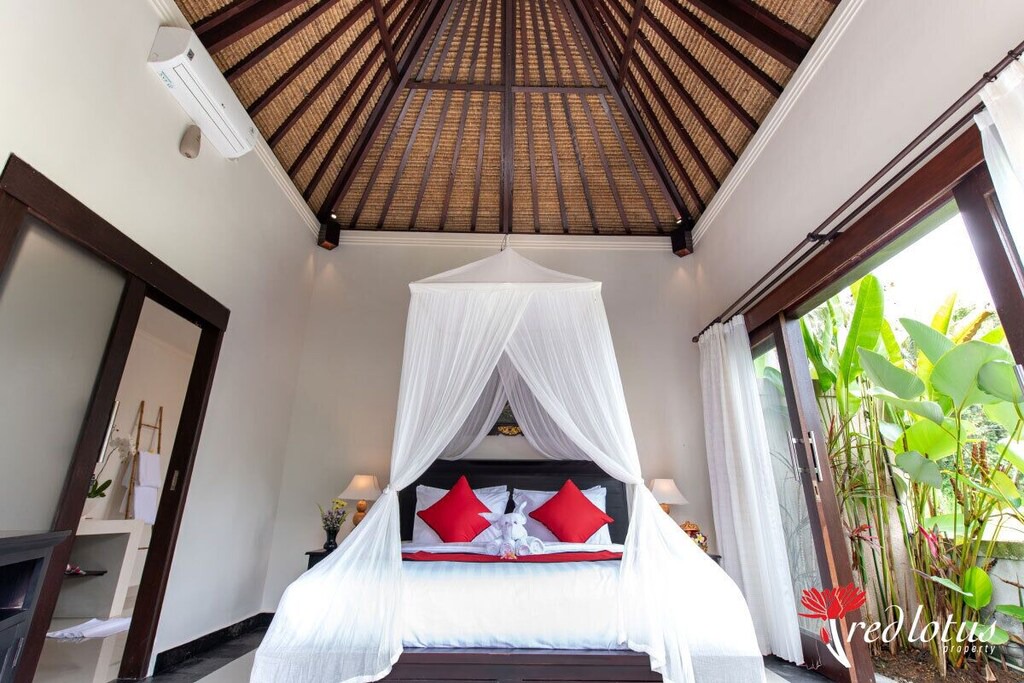 Photo of Others in Taro