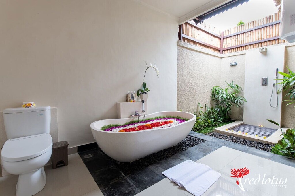 Photo of Others in Taro